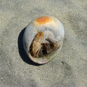 Baja2011 052 : Baja2011